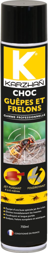 Insecticide CHOC GUEPES-FRELONS 750ml