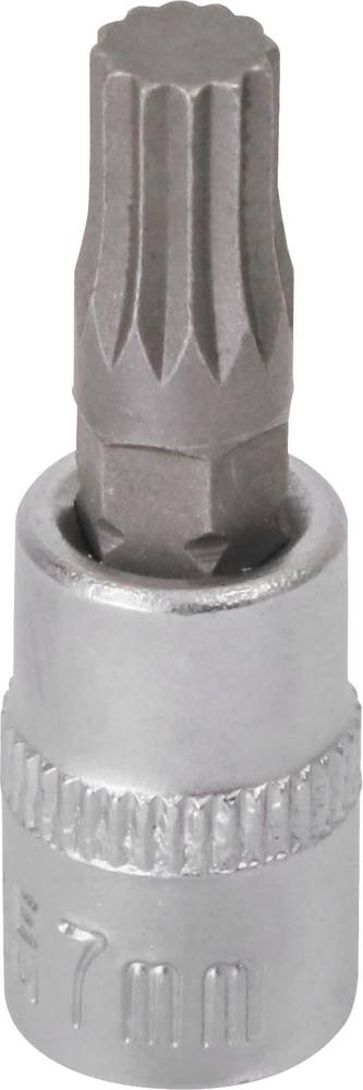 12097.jpg