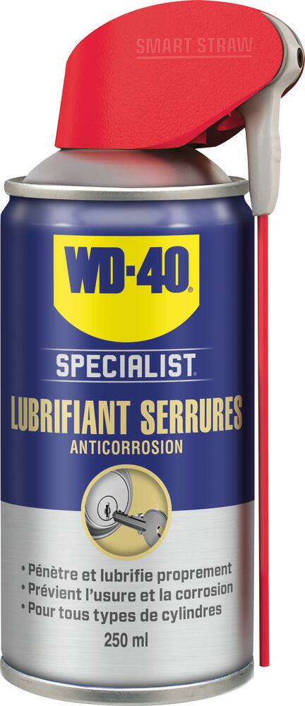 Lubrifiant serrures  avec tête 2 jets - aérosol 250ml