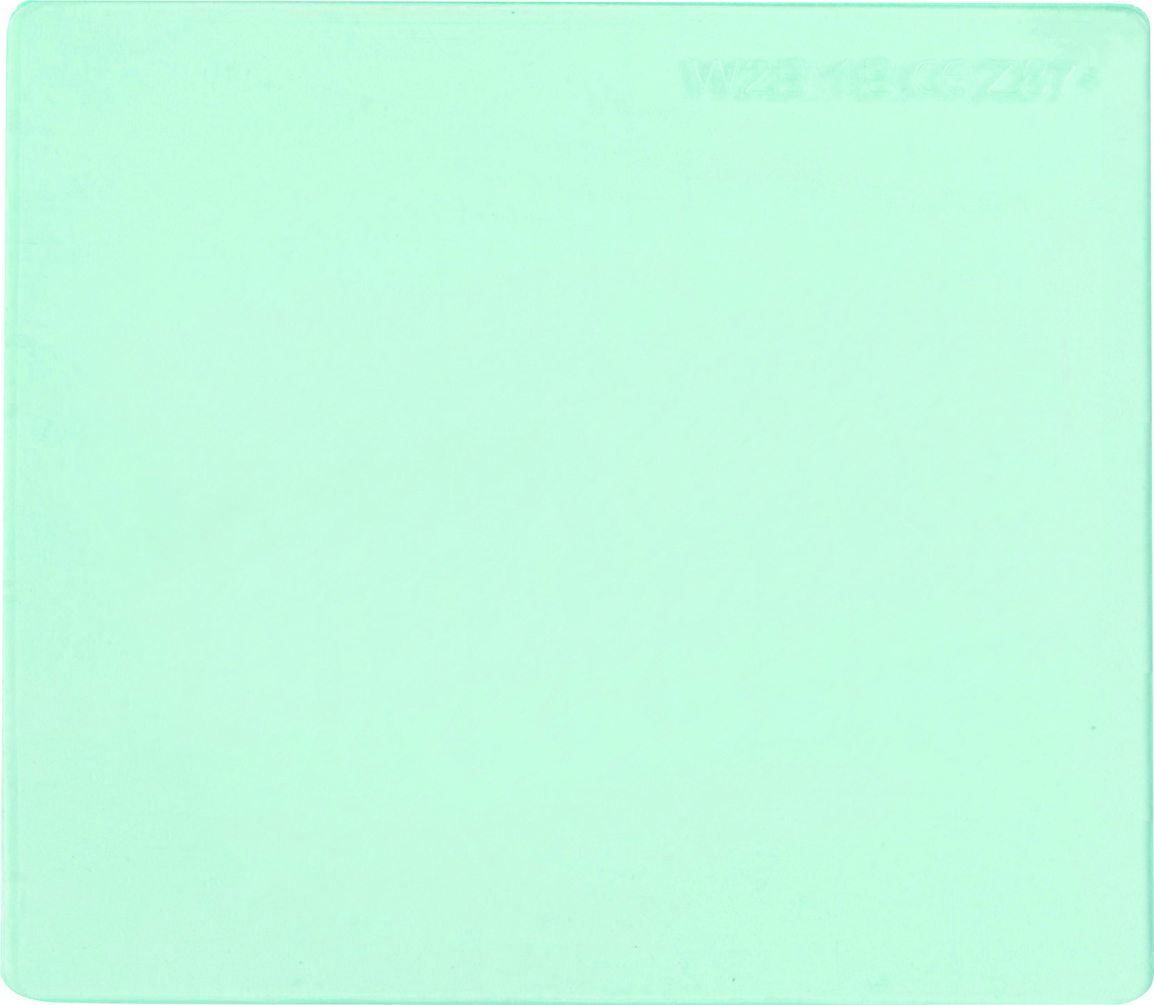 05570.jpg