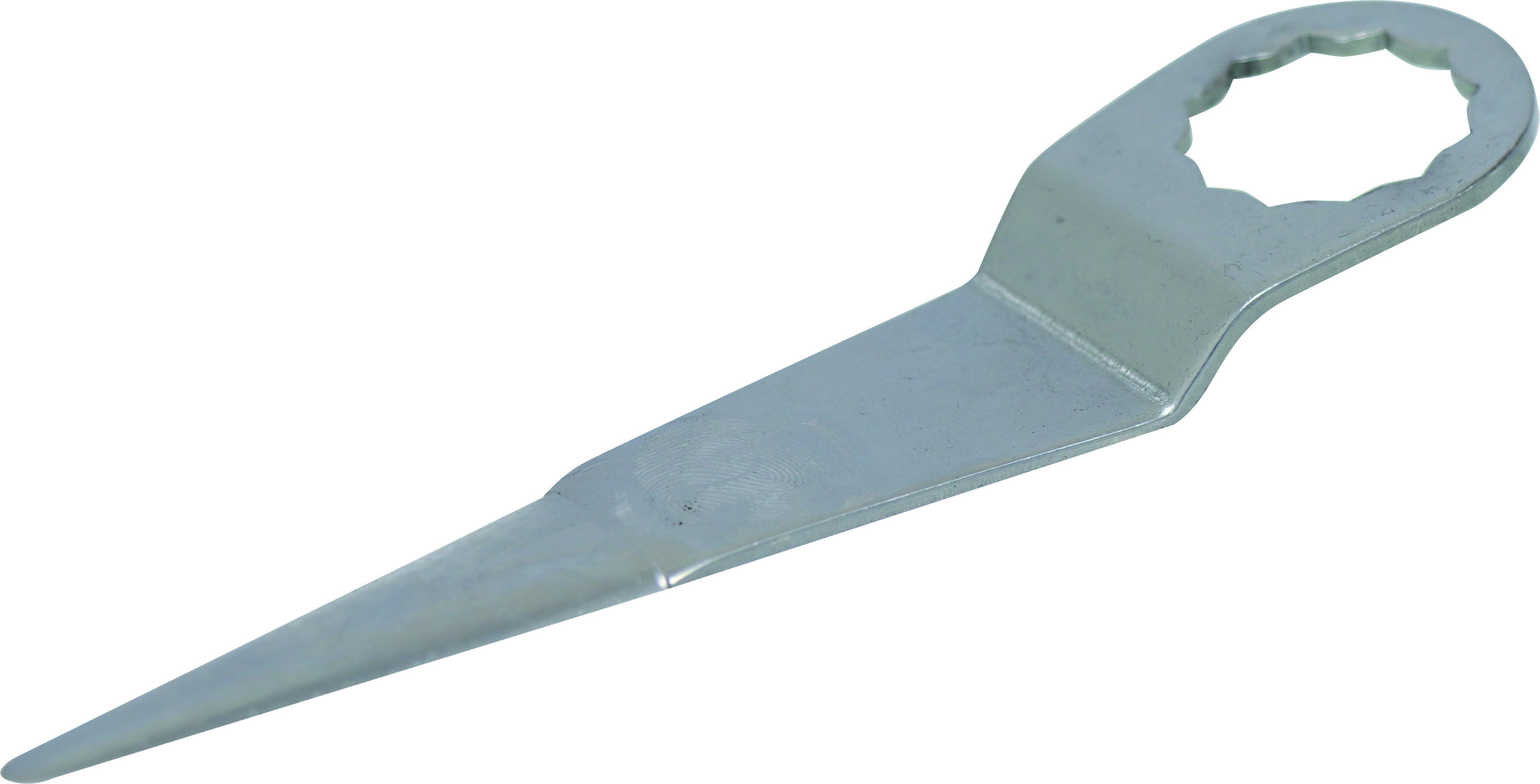 06961.jpg