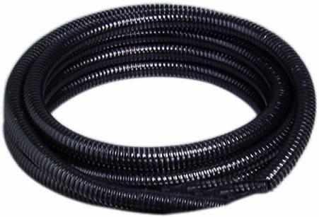 08527.jpg