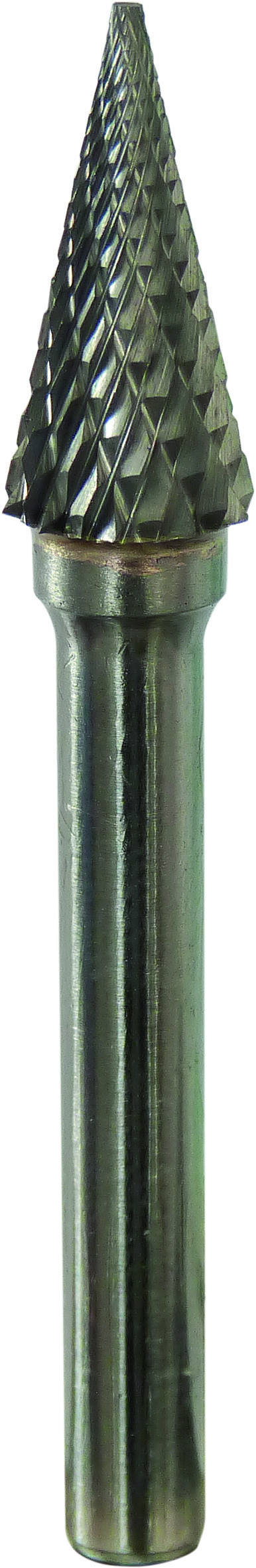 15519.jpg