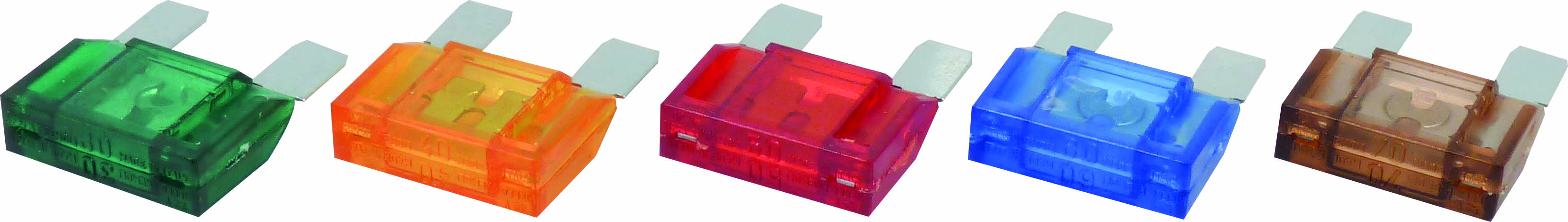 16203.jpg