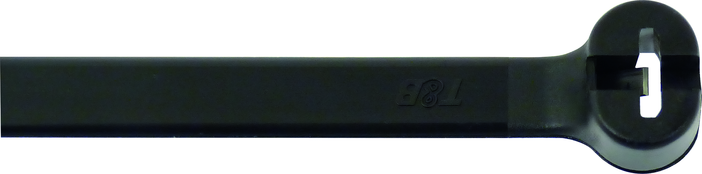 16996.jpg