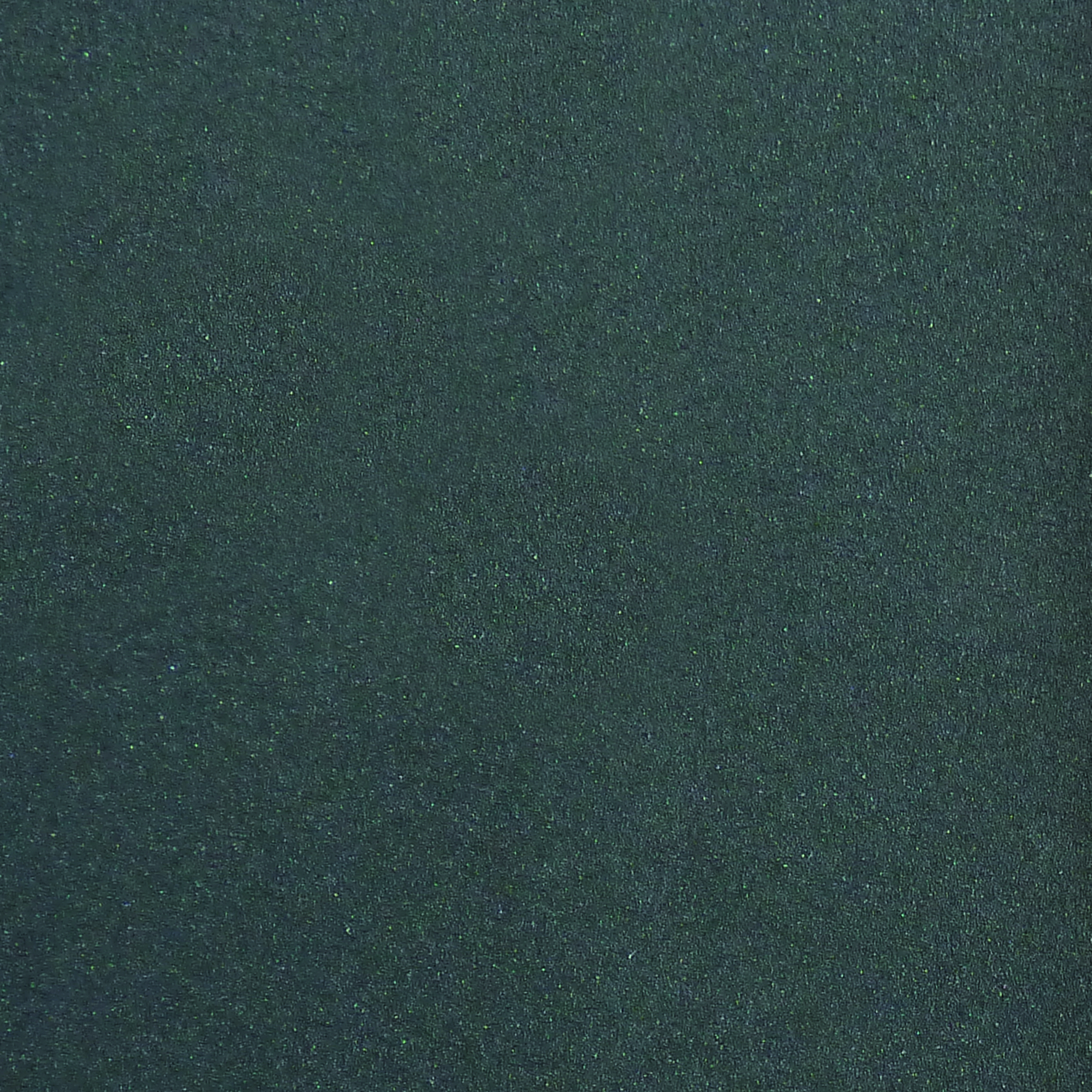 20484.jpg