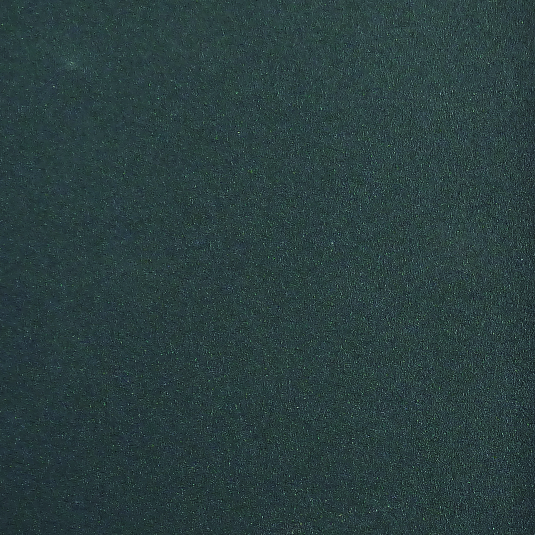 20486.jpg
