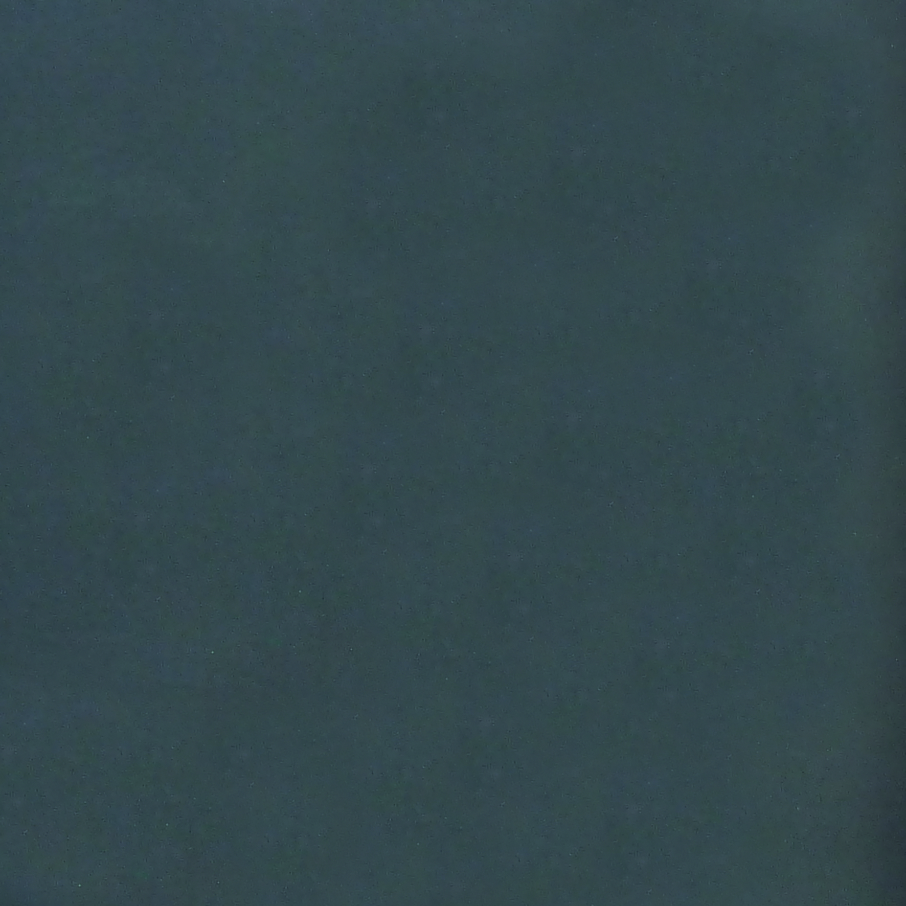 20494.jpg